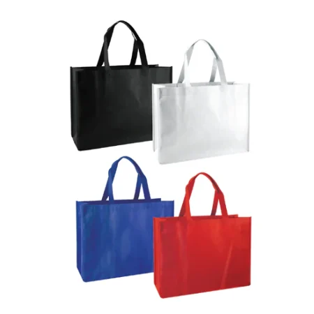 NON WOVEN BAG