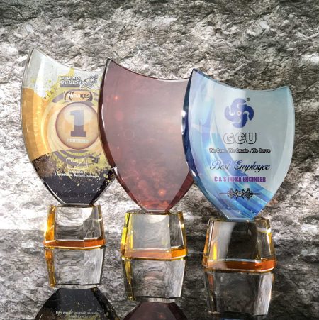 Colour Crystal Award - 8310