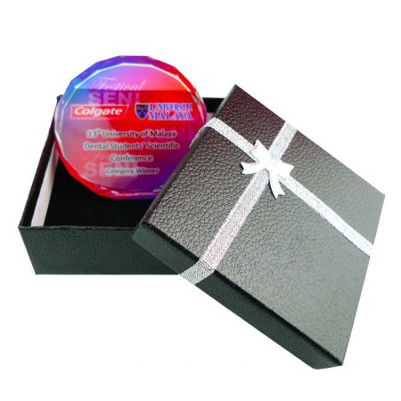 Crystal Paper Weight 8149