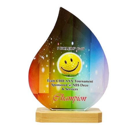 Colour Crystal Award - 8348