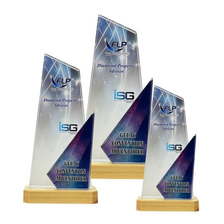 Colour Crystal Award - 8352