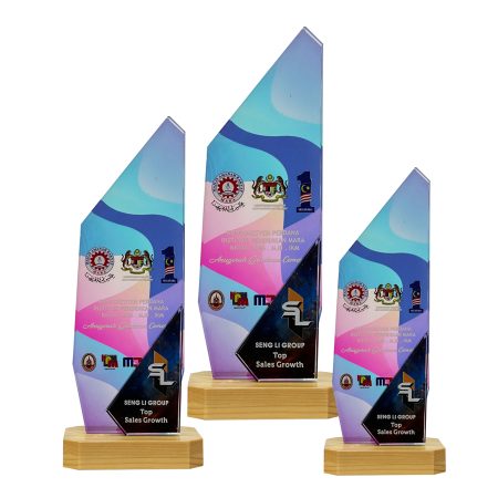 Colour Crystal Award - 8353