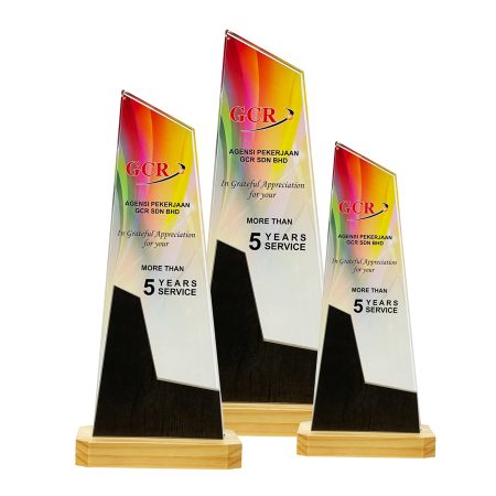 Colour Crystal Award - 8354