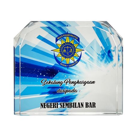 Colour Crystal Award - 8358