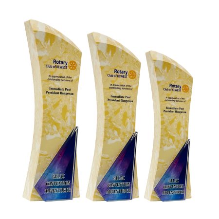 Colour Crystal Award - 8361