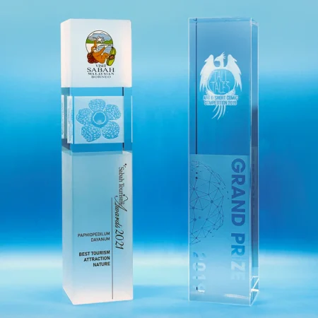 Crystal Trophy CTD5110