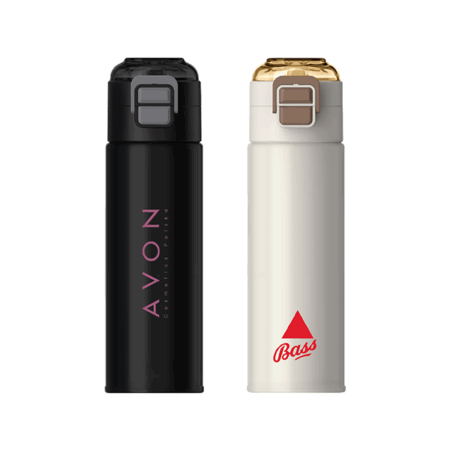 316 Stainless Steel Bottle with Straw - 520ml, Dual Lid