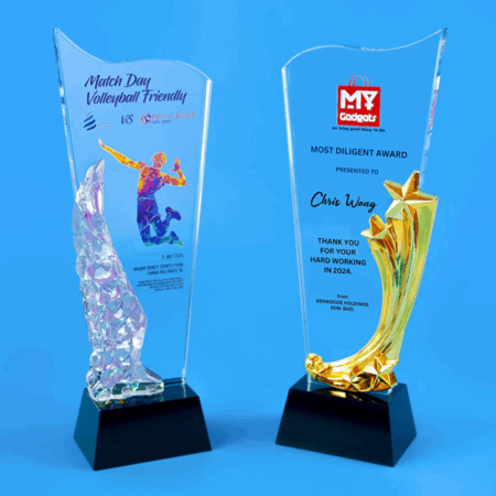 Trophy, Award & Plaque