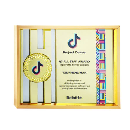 Exclusive Gem Frame - 180mm(H) x 230mm(L) x 35mm(W)
